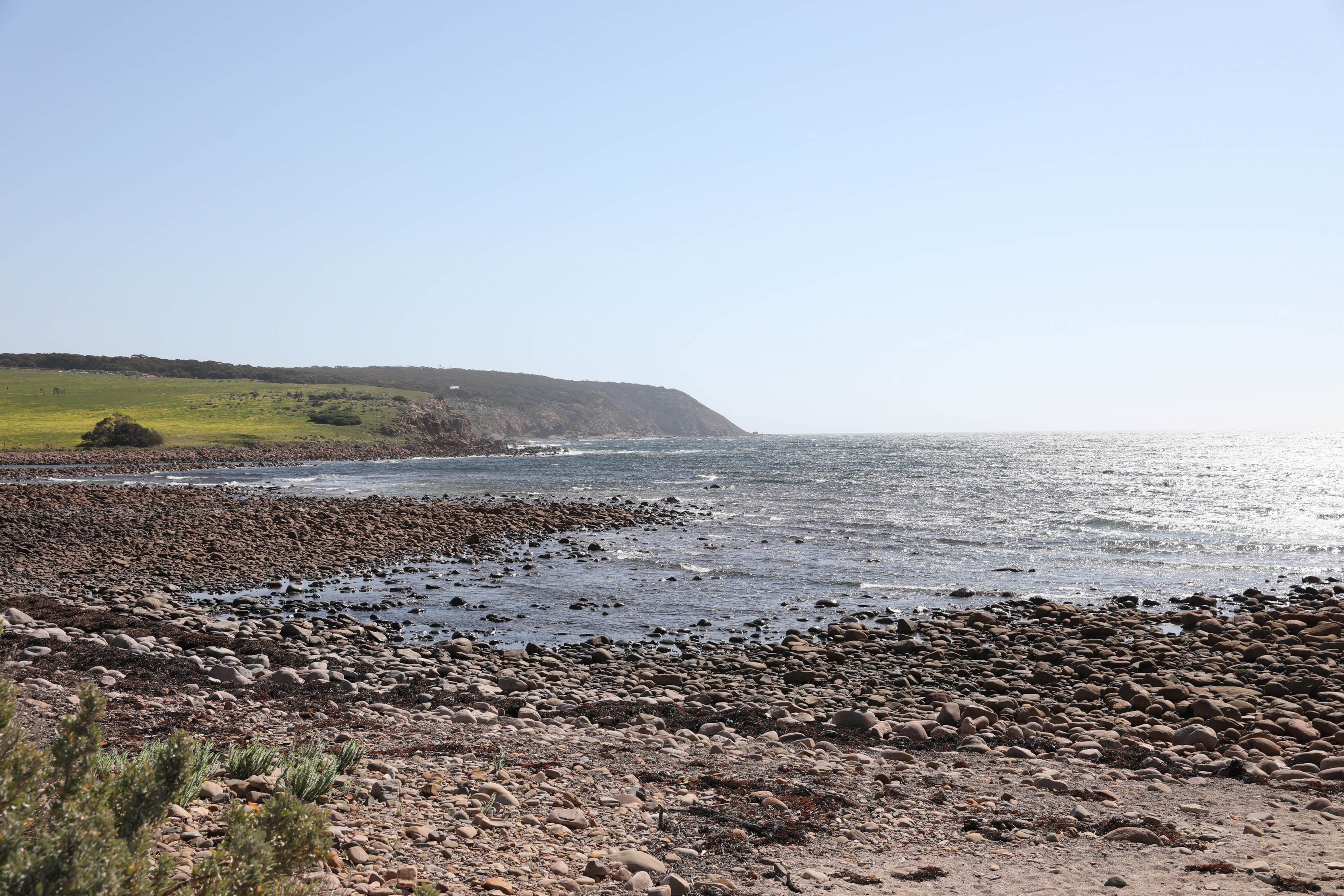 2019 10 02 14 25 31 Canon EOS 5D Mark IV 0025